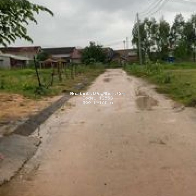 đất ở tại nông thôn