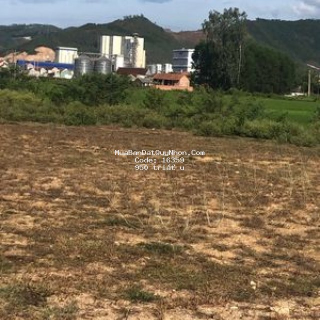 đất sát cụm công nghiệp nhơn hoà