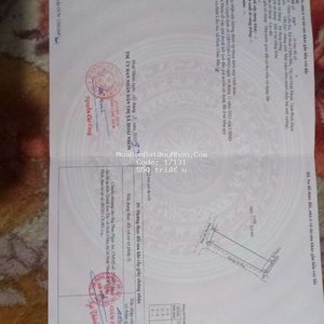 đất sổ đỏ hoàn toàn cần bán để đầu tư việc khác