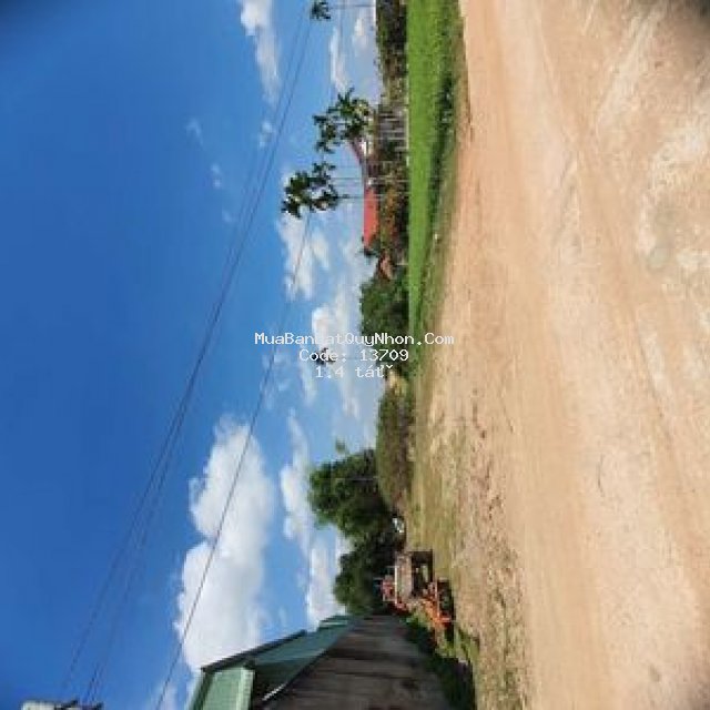 đất thị xã an nhơn 288m2 cần ra đi gấp gấp gấp