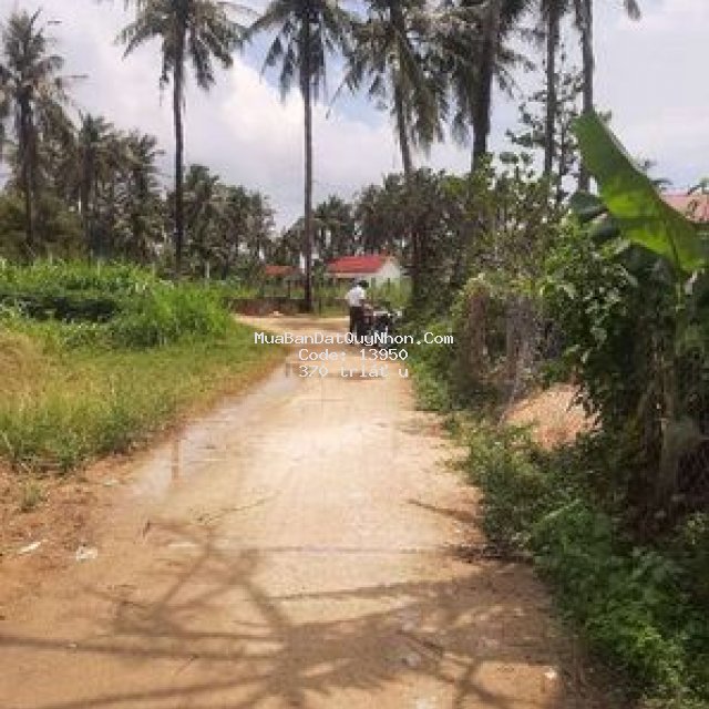 đất thôn lương trung, mỹ chánh. 198m2. 2 mặt tiền