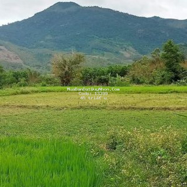 đất vườn