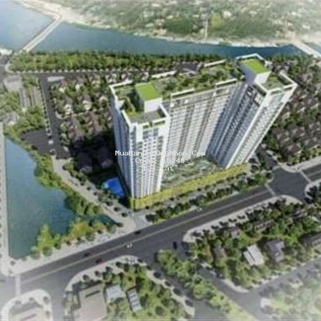 đầu tư chỉ với 400 triệu sinh lời 50% sau 2 năm