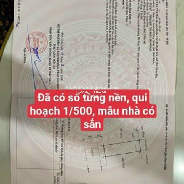 đón sóng đầu tư đất biển quy nhơn