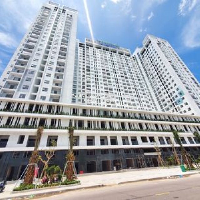 Dự án căn hộ ecolife riverside quy nhơn