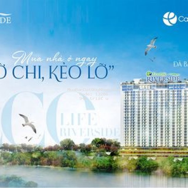 đừng mua chung cư ecolife qn nếu chưa đọc bài này