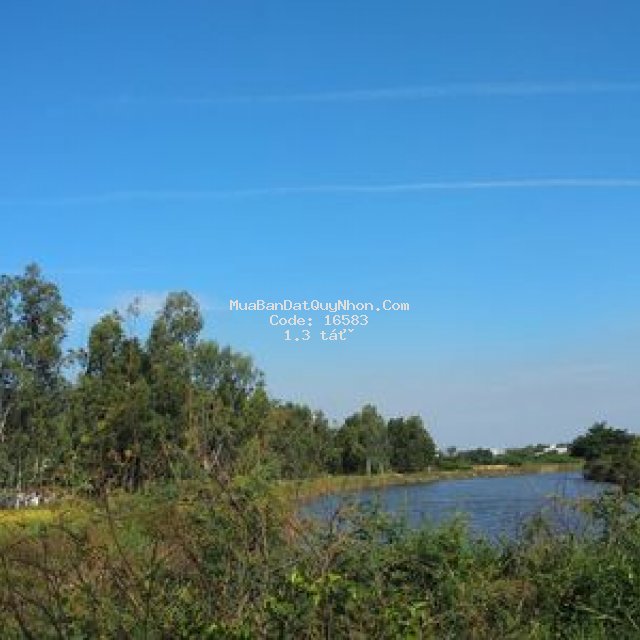 Gấp!!. cần bán 2 lô đất 1500m2,1200m2 tt tuy phước