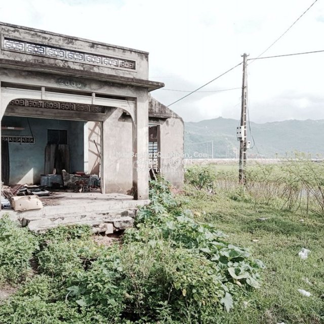 Gia đình tôi bán 400m2 trung tâm thị trấn cát tiến