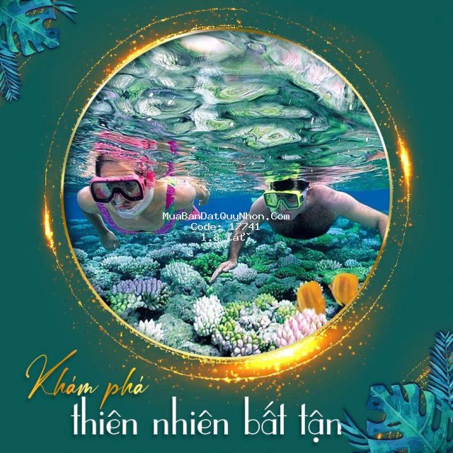 Grand navience city tinh hoa tam quan bắc, b.định