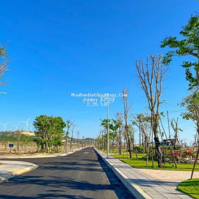 Kẹt tiền - bán đất ven biển quy nhơn