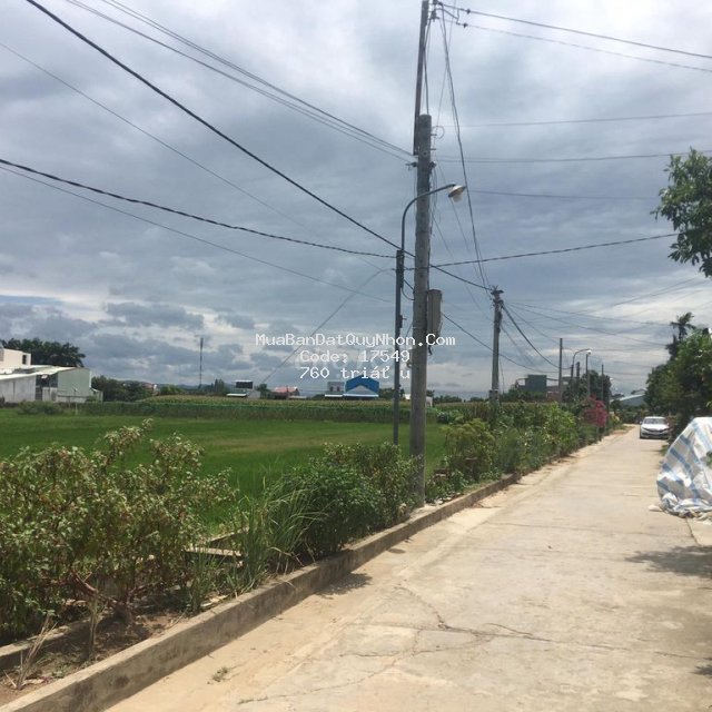 Kẹt tiền bán gấp lô đấu giá lục lê phước hiệp