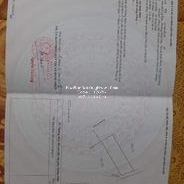 Kp lại đức p.hoài đức hn bd