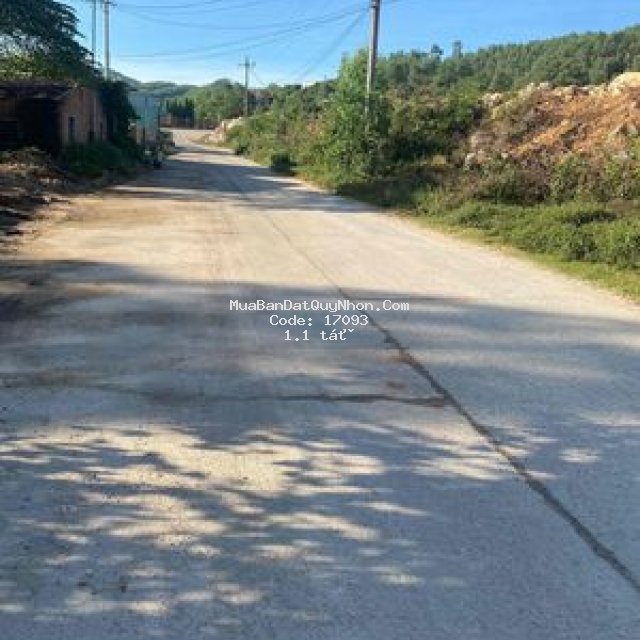 Lô đất 900m phường bùi thị xuân