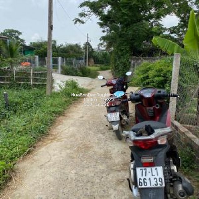 Luật chánh. phước hiệp