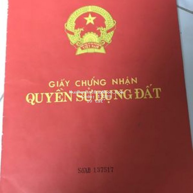 Nhà mặt tiền ngay công viên quan trung