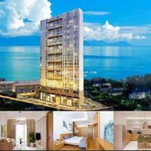 Nhận booking căn hộ calla quy nhơn gần biển