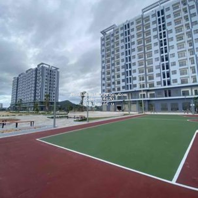 Nộp hồ sơ mua căn hộ giá 519 triệu