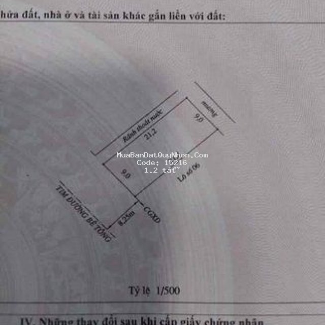 Petong gần nhựa bà triệu hoài thanh hoài nhơn bd