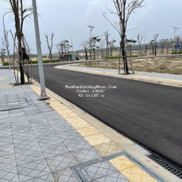 Quy nhơn đầu tư bđs  tiềm năng nhất