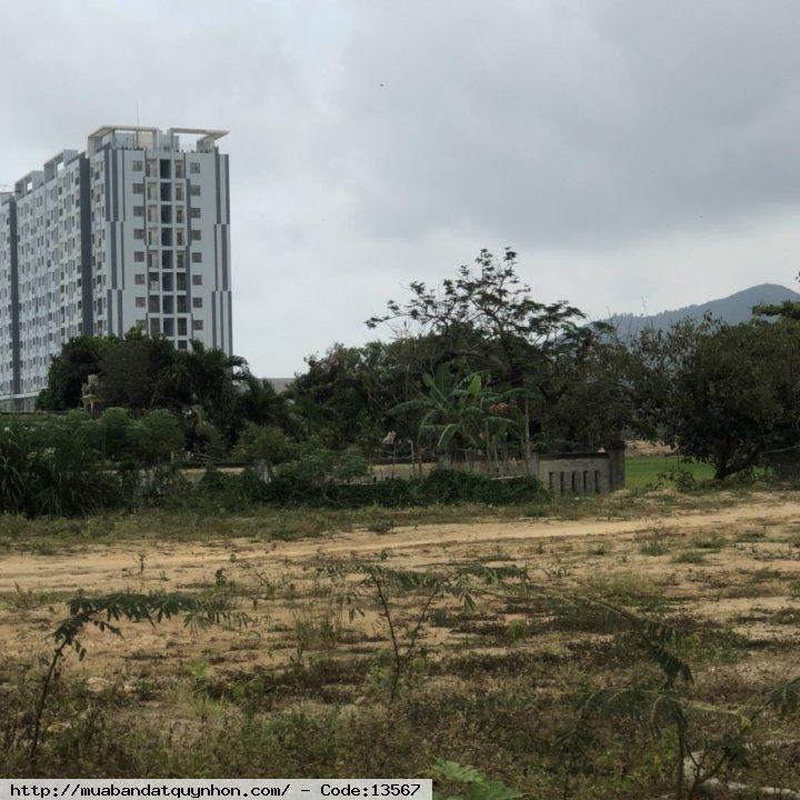 Sang phiếu nhanh 3 lô KV6 Nhơn Bình (lô 70.71.72 khu A7. Đường D20) đối diện công viên S: 100m2. Ngang 5m/lô Tổng: 300m2. Ngang 15m.  Lộ giới 12m. Hướng: Tây Bắc  Giá: 1.710.000.000₫/ lô
