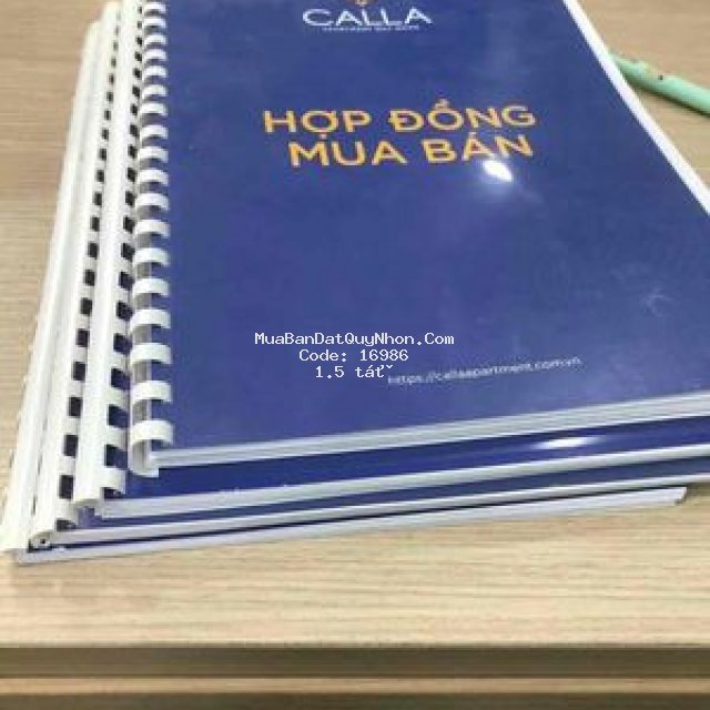 Sơ hữu ngay căn hộ sân vườn calla chỉ với 20%