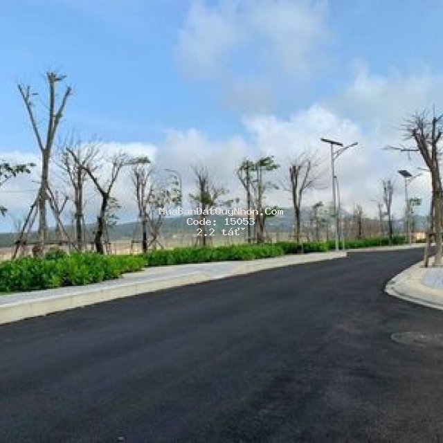 Sự bùng nổ của trào lưu sống xanh kỳ co gateway
