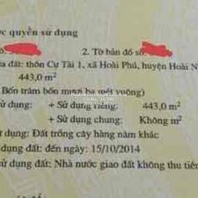 Tdt 443m đất hàng năm cự tài giá 250tr