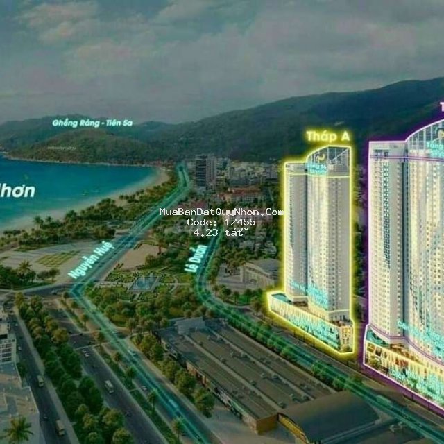 The sailing quy nhơn có gì khác biệt thị trường?