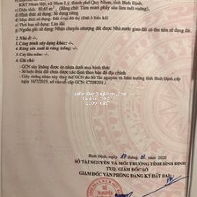 Tiềm năng nhơn hội new city