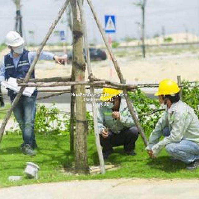 Trải nghiệm không gian sống xanh chuẩn hàn tại...