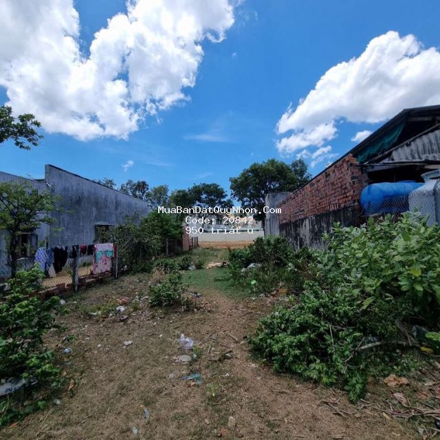 182m2 đất shr, mt ôtô full tc tại cát khánh, phù cát, bình định: 950tr