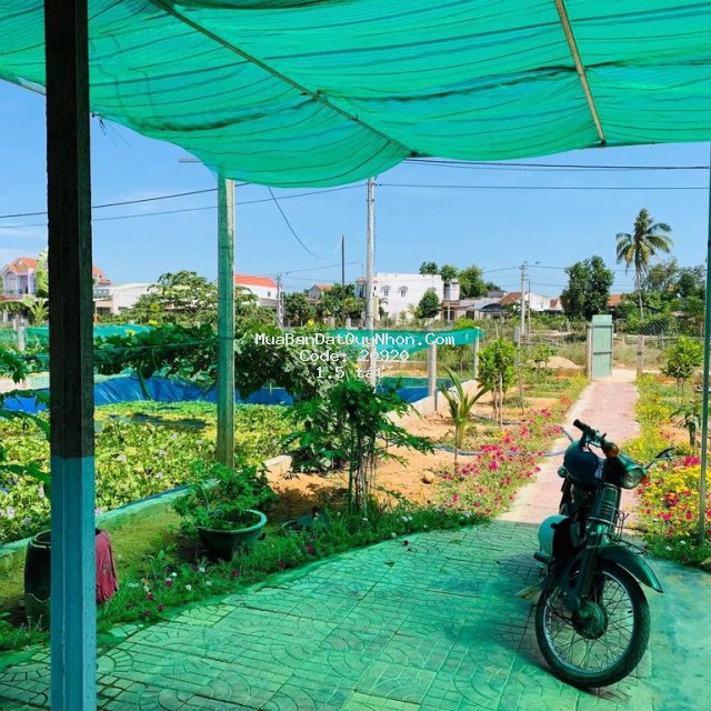 4 lô đất liền kề 500m2 cần chủ mới -kdc hoà cư nhơn hưng