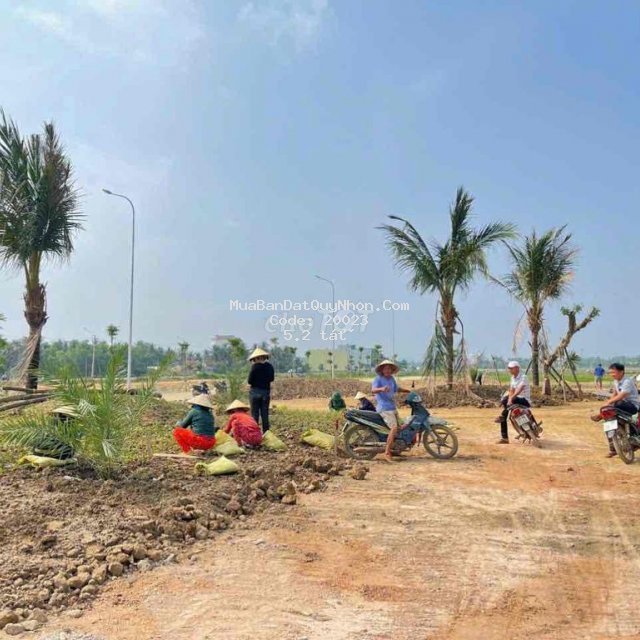 Bán 300m2 liển kề đối diện công viên tt siêu thị go tam quan bắc