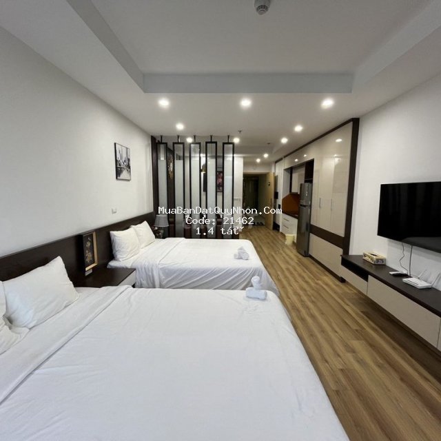Bán căn hộ studio dự án tms quy nhơn