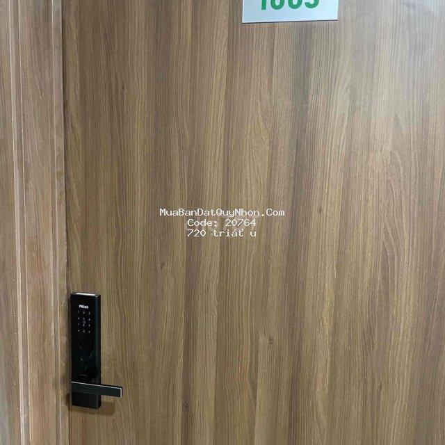 Bán chung cư ecohome giá cđt để lại nội thất