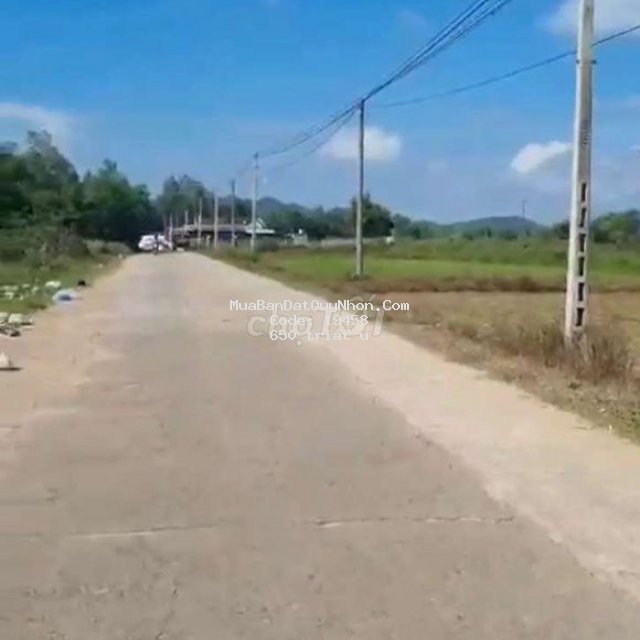 Bán đất 175m2 thổ cư cát tân, phù cát, bình định