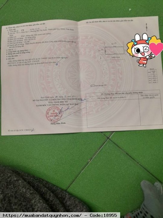 Bán đất 2 mặt hẻm rộng ô tô vào thoải mái. Đường trước nhà 6,3m đường Âu Cơ_P Bùi Thị Xuân_Quy Nhơn - Diện tích 40m2 - Hướng đông - Giá 1 tỷ 