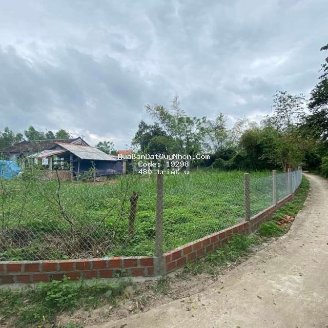 Bán đất 432m2 có thổ 70m2 bình hòa, tây sơn, bđ