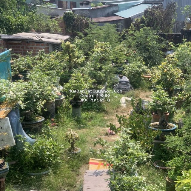 Bán đất full thổ cư phước an tuy phước 120m2 ngag5