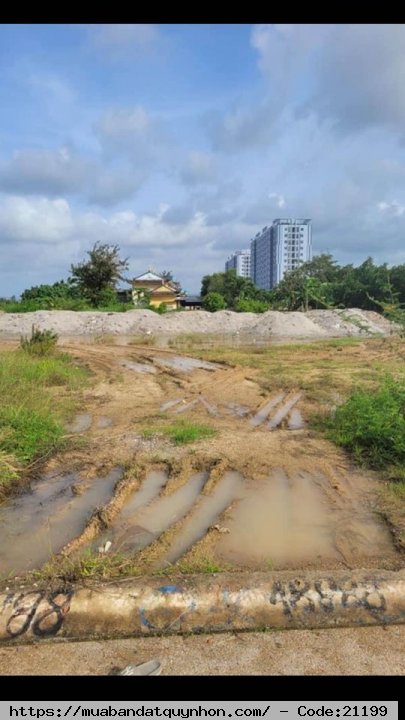 Bán đất Kv6 P.Nhơn Bình - Tp Quy Nhơn - Diện tích đất:100m2 - Lộ giới : 12 m, Sổ đỏ chính chủ - Giá : 2 tỷ Bán đất Kv6 P.Nhơn Bình - Tp Quy Nhơn - Diện tích đất:100m2 - Lộ giới : 12 m, Sổ đỏ chính chủ - Giá : 2 tỷ