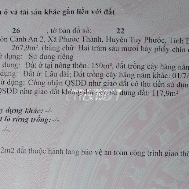 Bán đất mặt tiền ql19c (267m2)