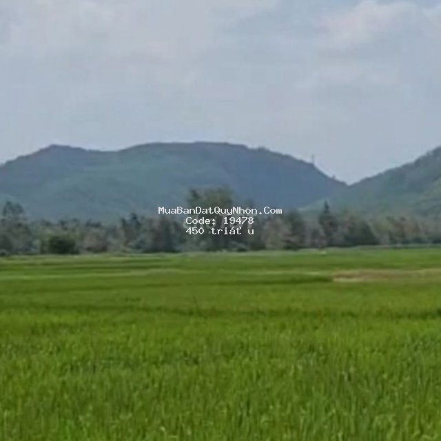 Bán đất mỹ hiệp, phù mỹ, bình định