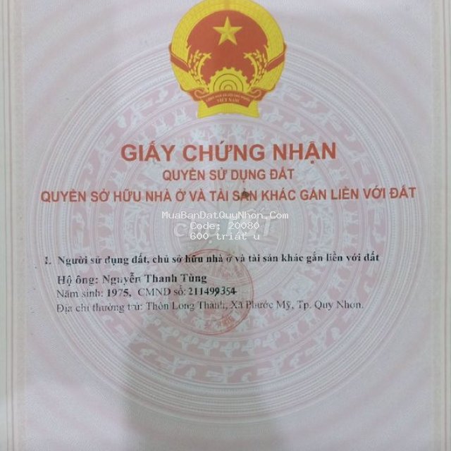 Bán đất trồng rừng.
