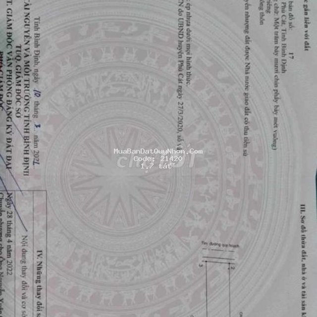 Bán đất trung tâm cát hưng
