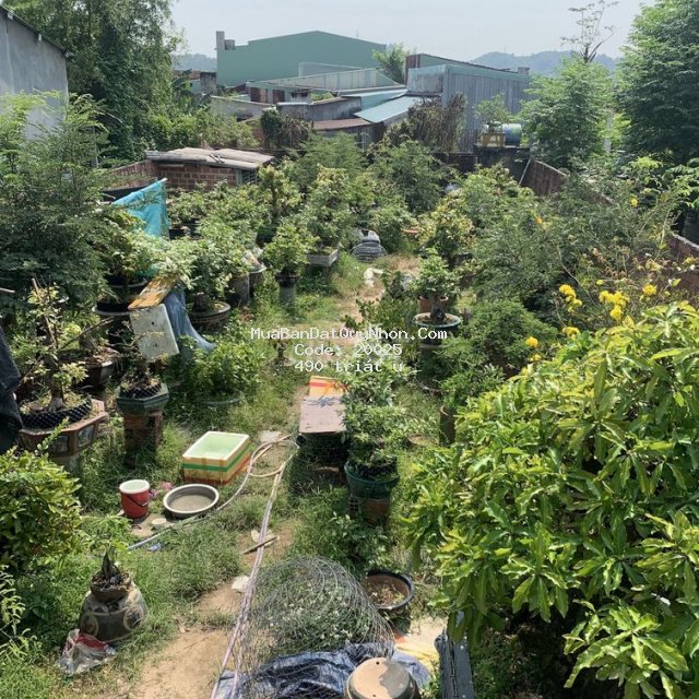 Bán đất xã phước an ty phước bình định 120m2 ngang 5m full thổ cư