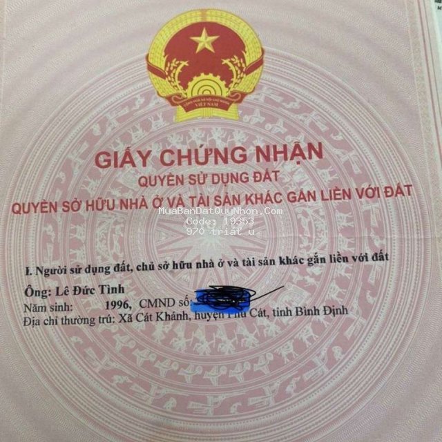 Bán gấp