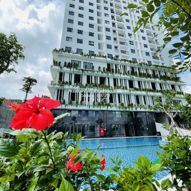Bán lỗ căn chung cư 2pn - 2wc ecolife tp. quy nhơn
