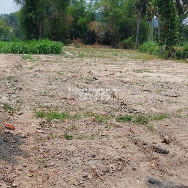 Bán lô đất 3 mặt tiền phù mỹ ngang vô cùng đẹp 60m giá 630 triệu