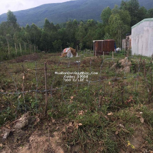 Bán lô đất 900m giấy viết tay phường bùi thị xuân