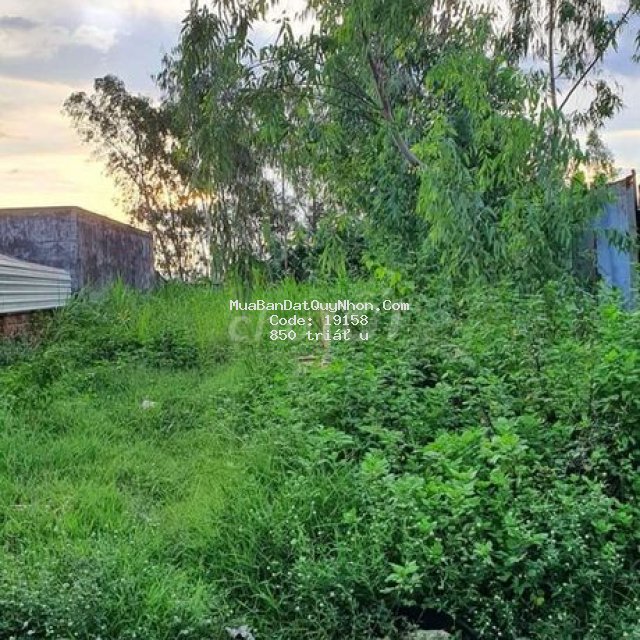 Bán lô đất mặt tiền quốc lộ 1a giá 850 triệu